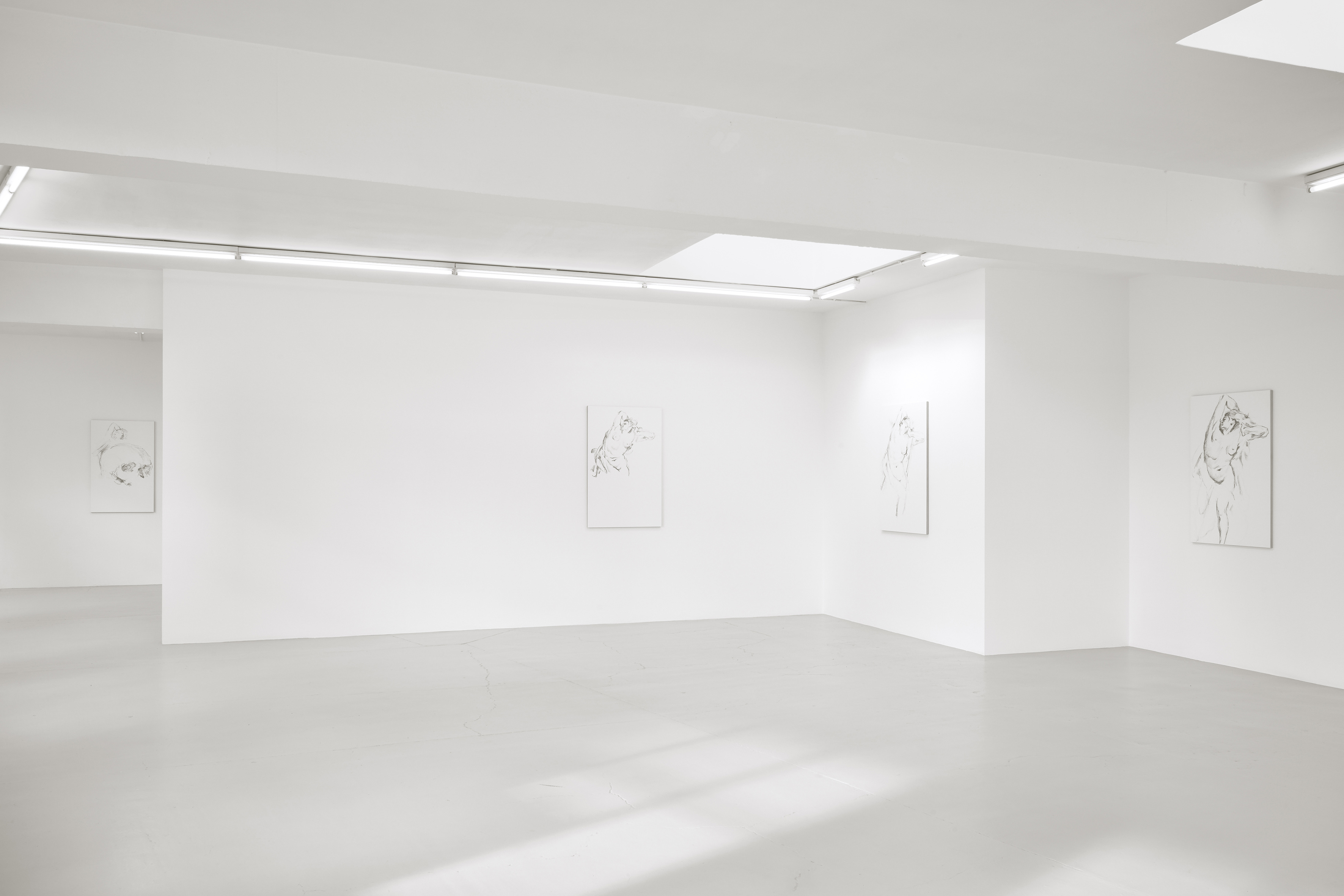 Figurative drawing installation by Cheyney Thompson exhibited in Toolpaths for Bellona at Campoli Presti London 2018