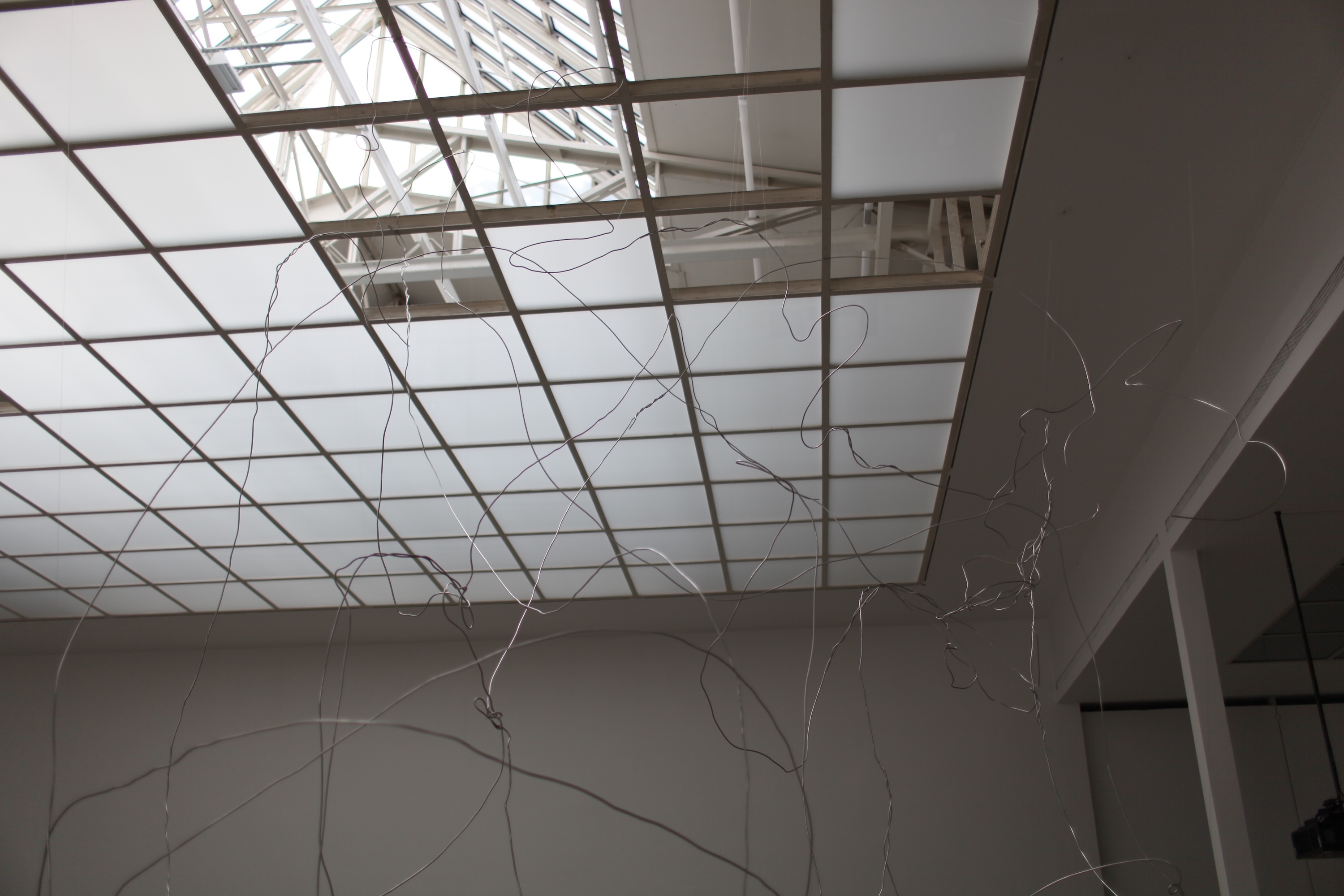 Image of Nora Schultz