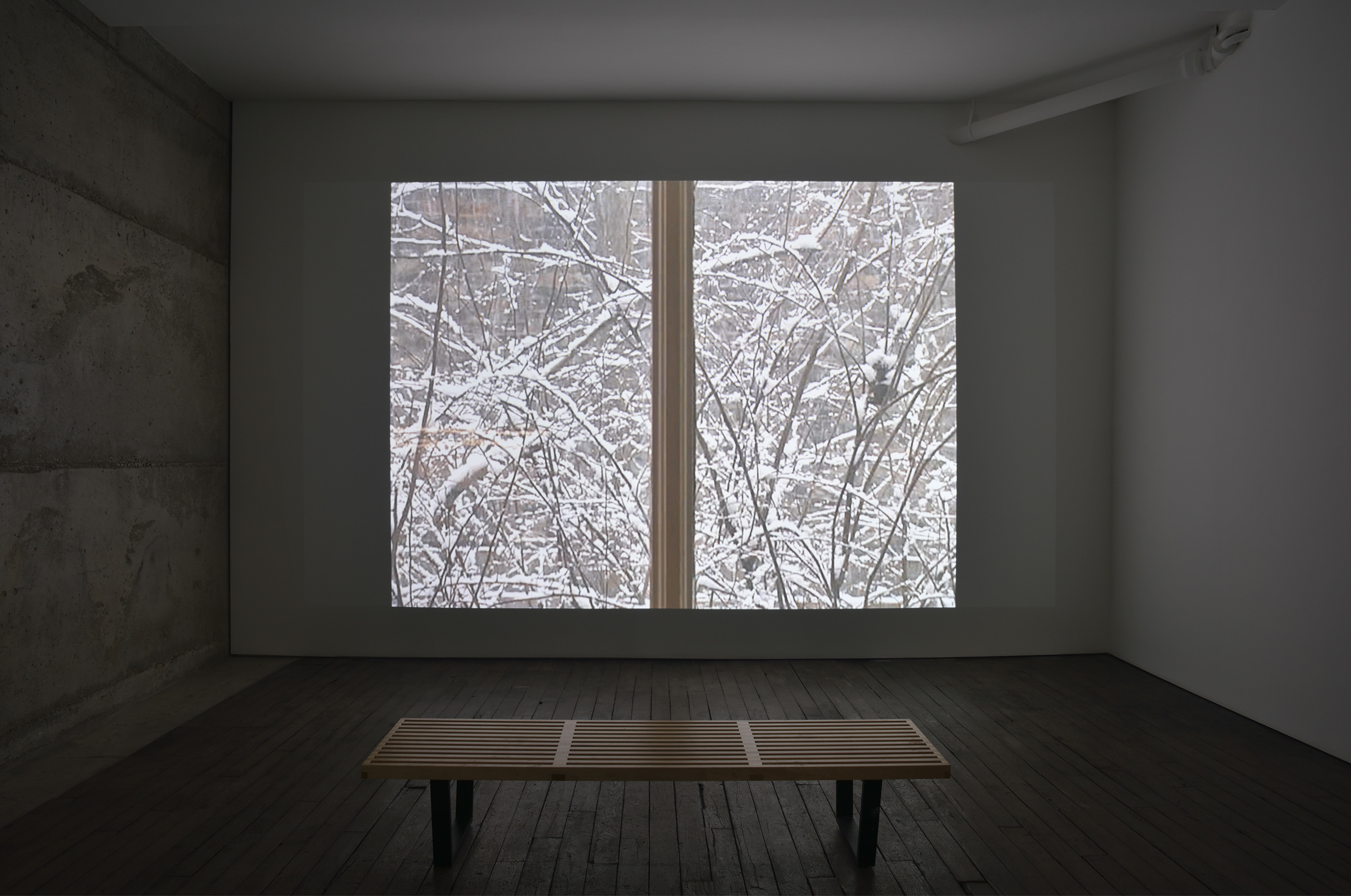 Image of Screening Series I: Early Winter