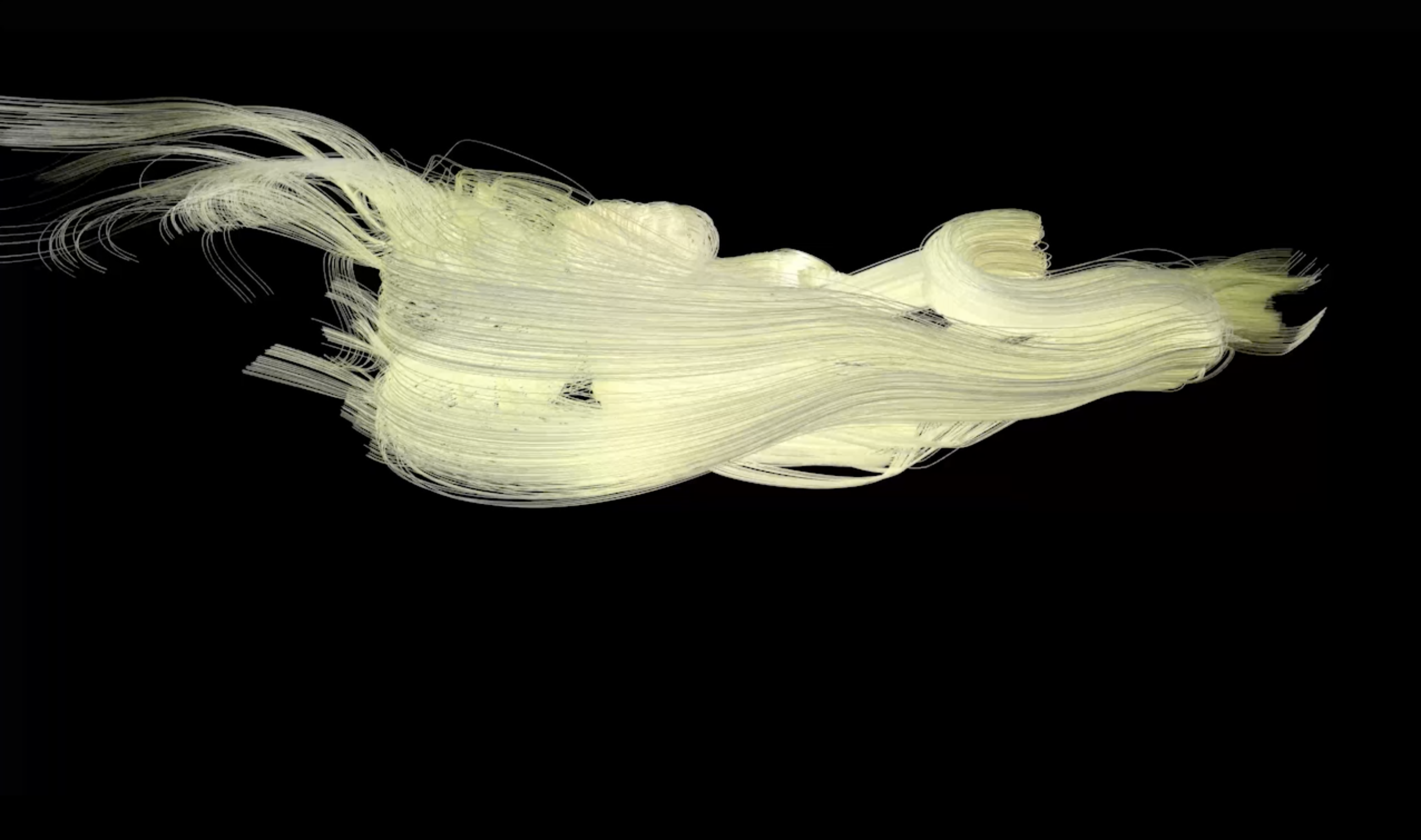 Image of Heike-Karin Föll