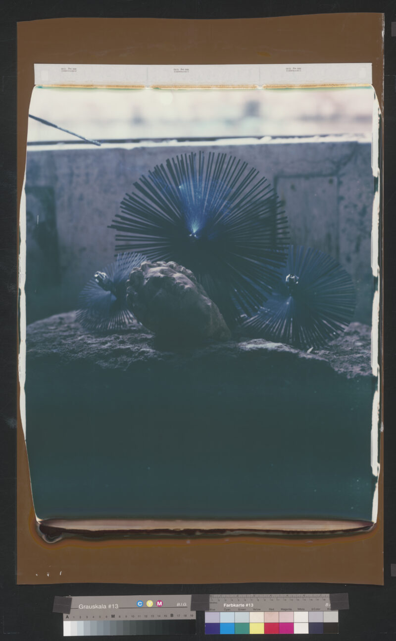 Image of Colpi di fulmine by Anna Franceschini