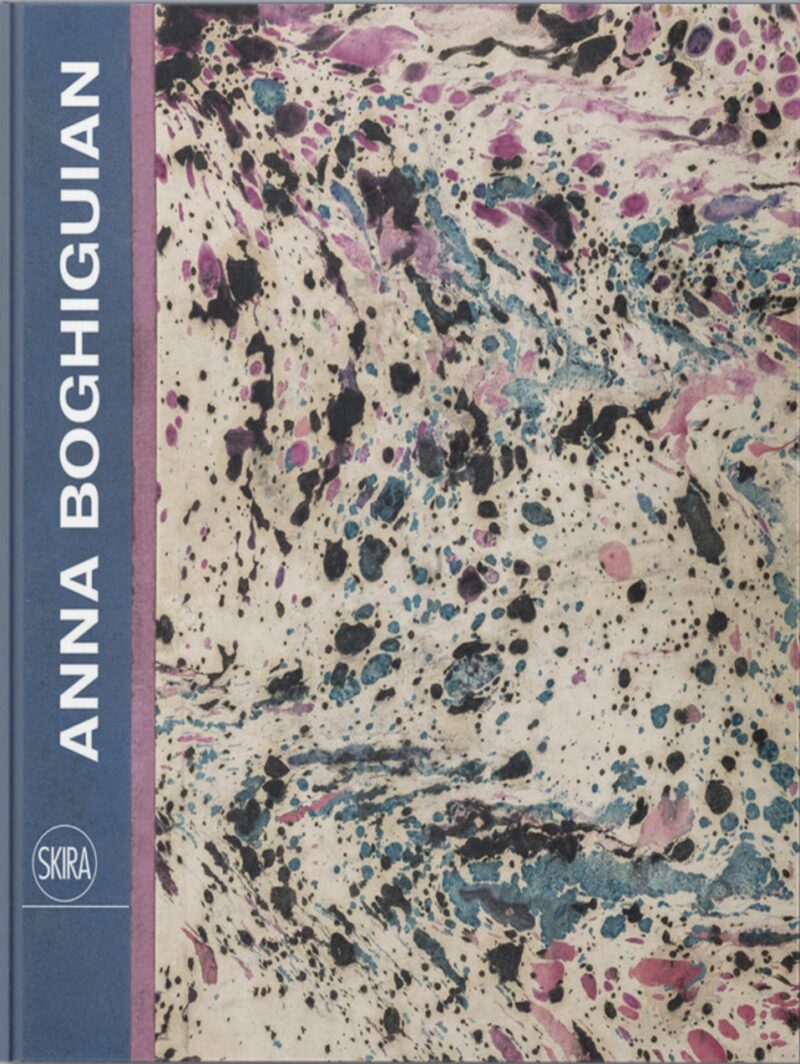 Image of Anna Boghiguian