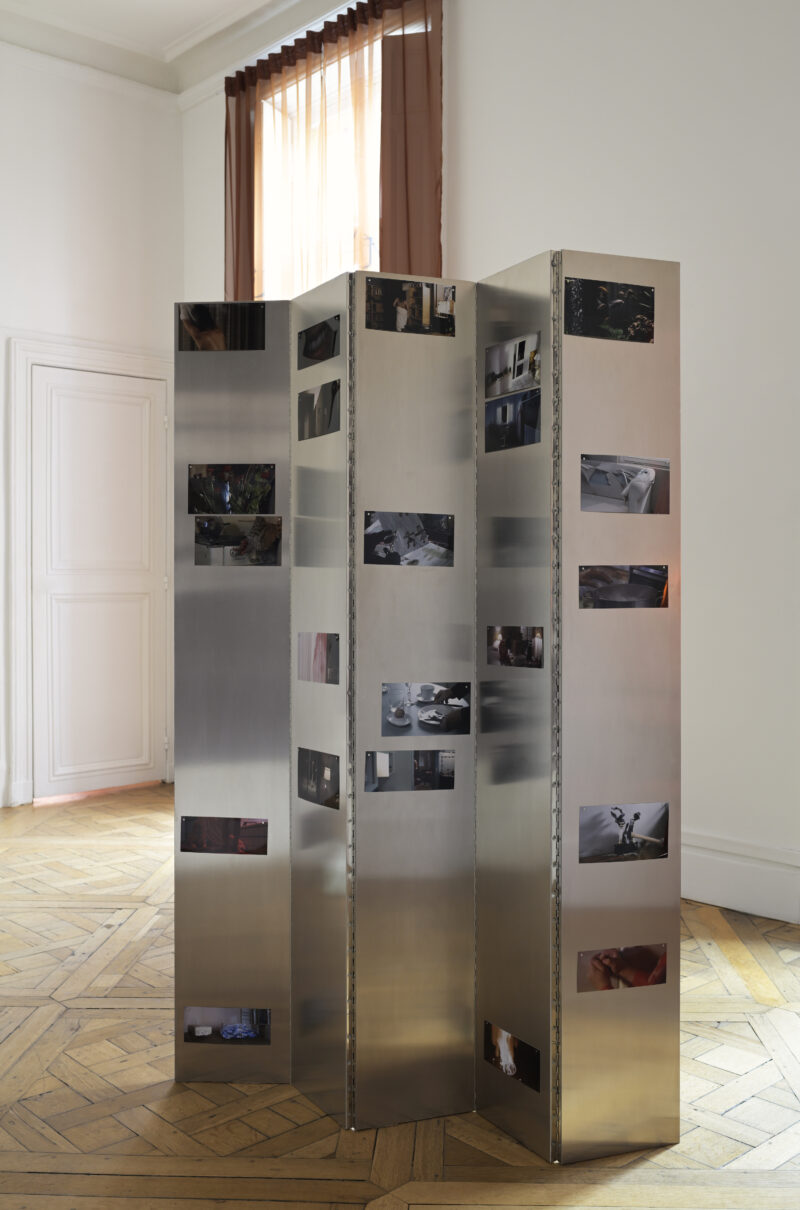 Image of Domestic Gore by Le cœur et les poumons