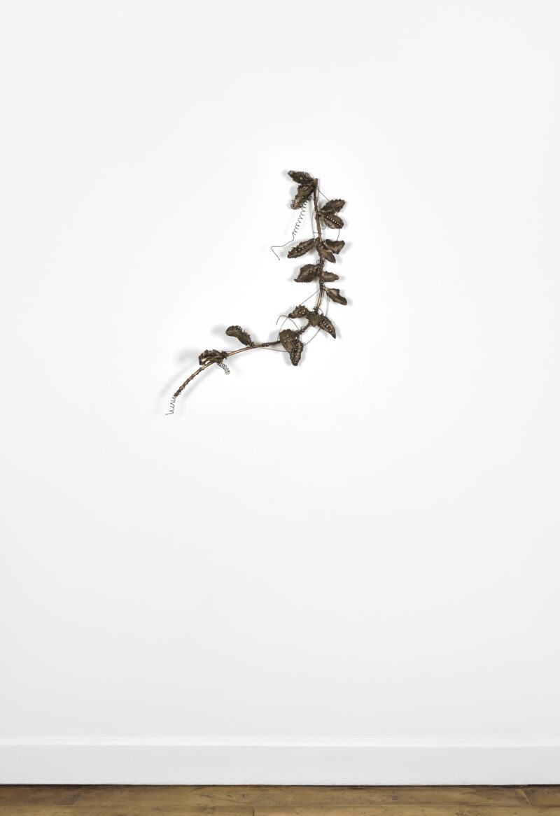 Image of Malaerba n*2 by Benni Bosetto