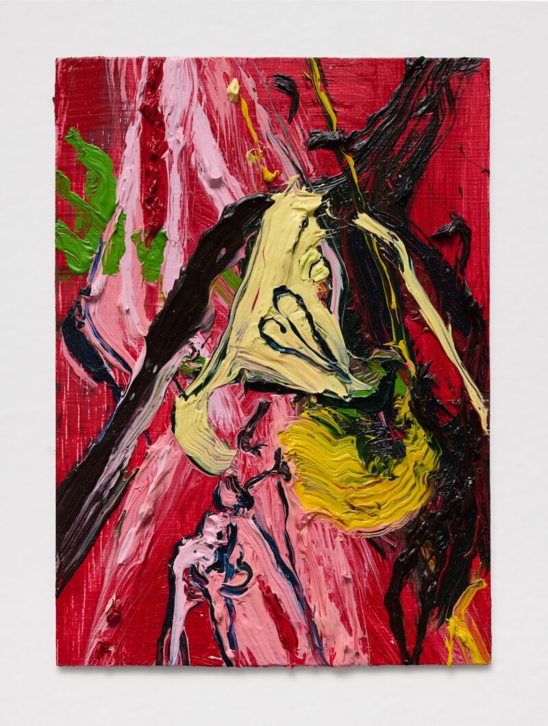 Image of Fuse by Victoria Roth