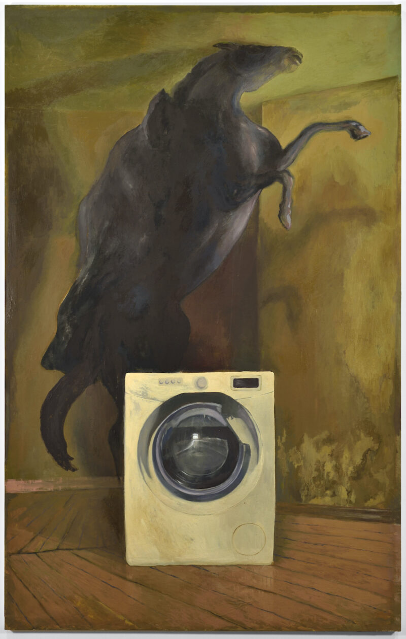 Image of Delicato / Primo solitario by Valerio Nicolai