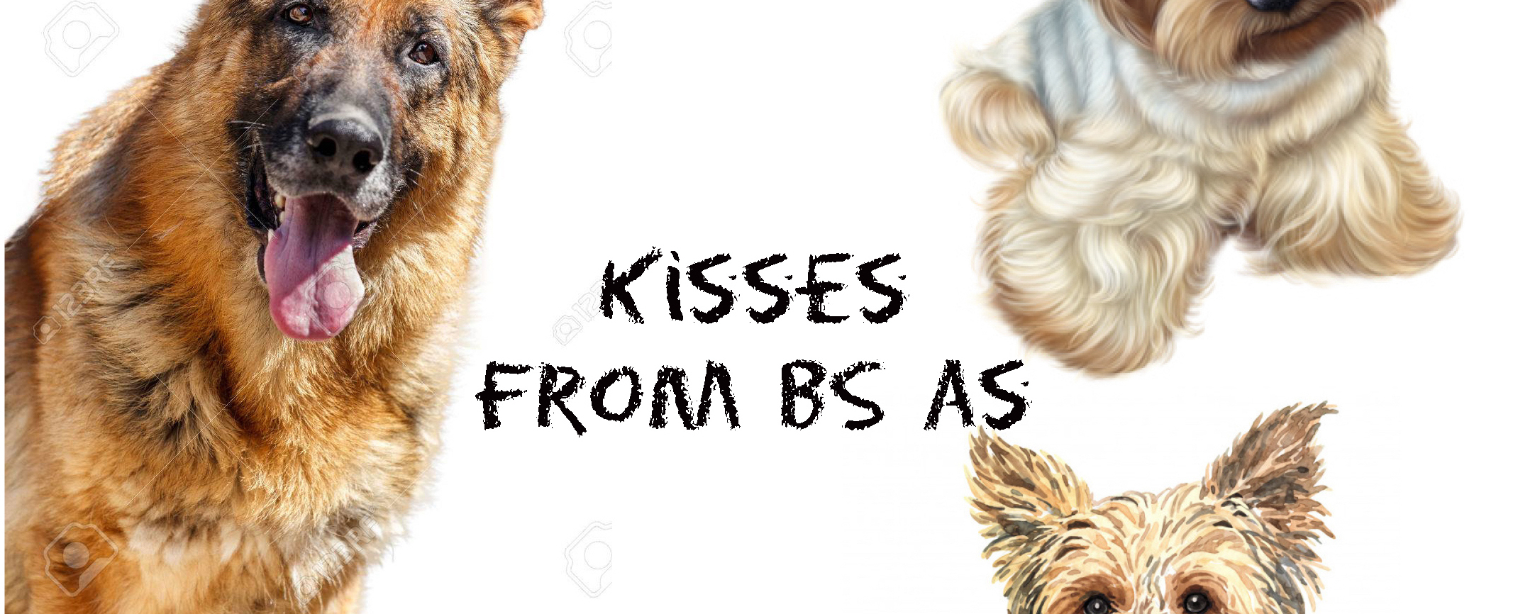 Image of Fernanda Laguna