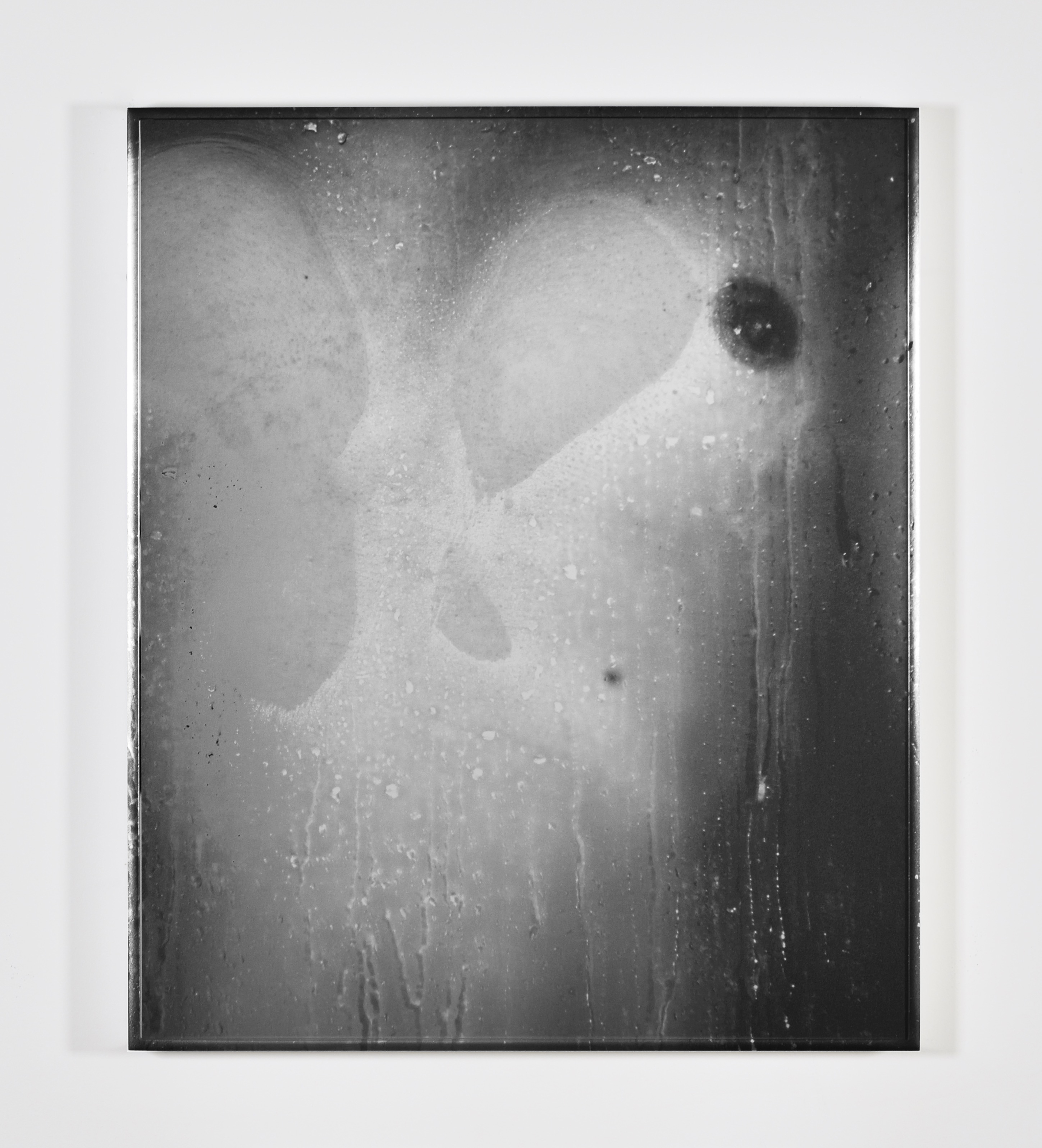 Image of Eileen Quinlan : Doll Parts