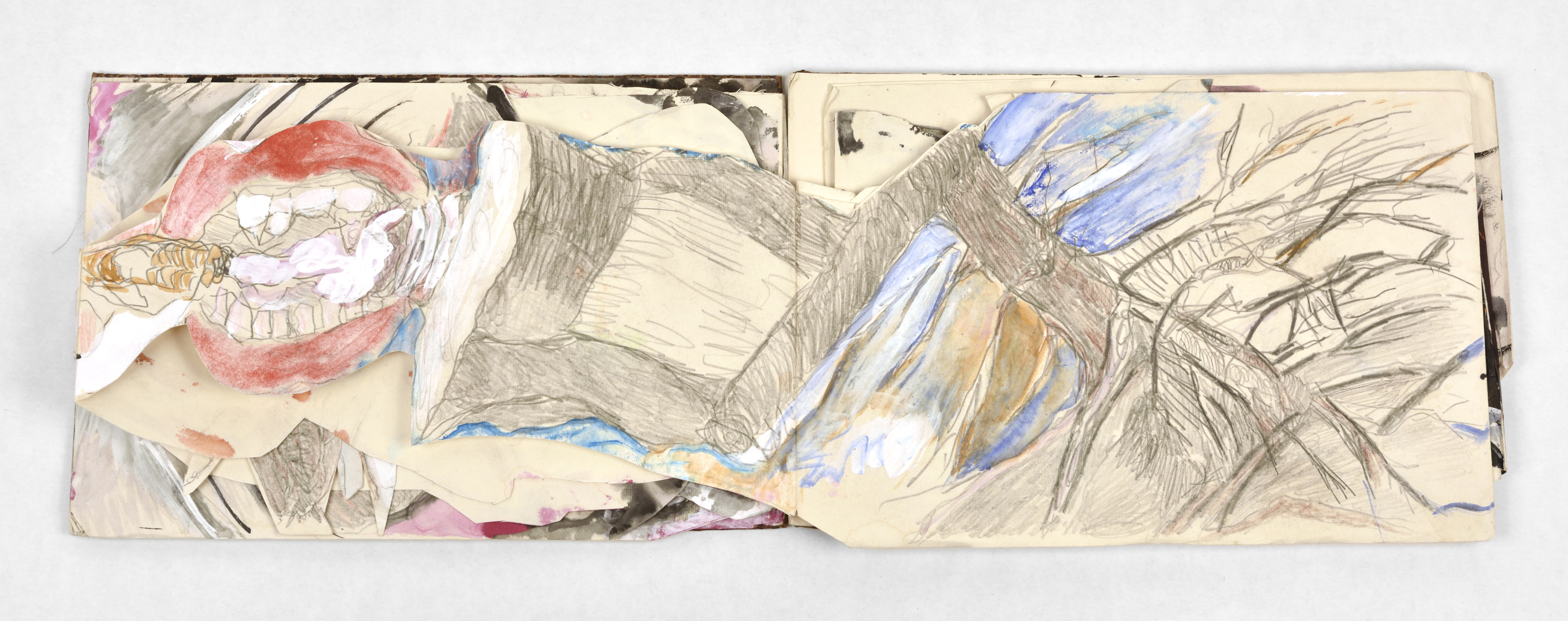 Image of Anna Boghiguian